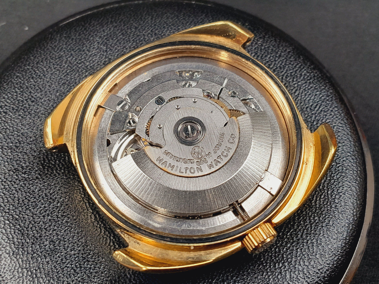 1975 Hamilton Griffin